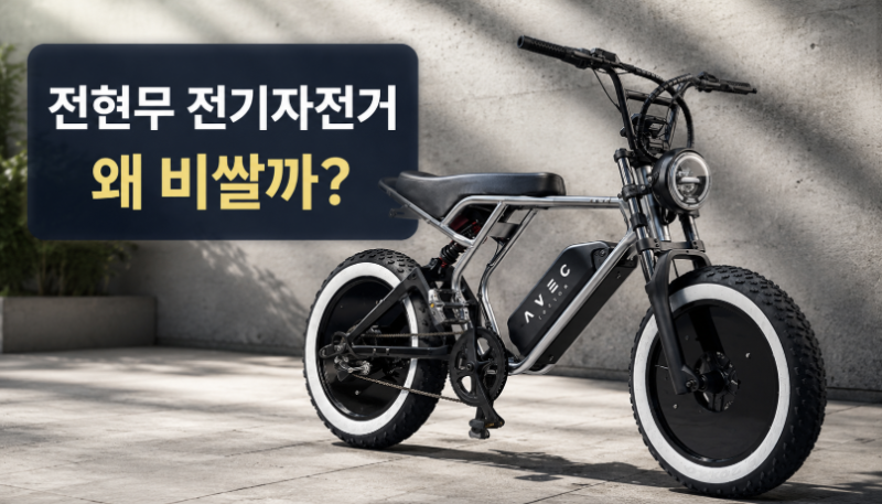 아베크커스텀 F01 전기자전거, 전현무 모델이 비싼 이유