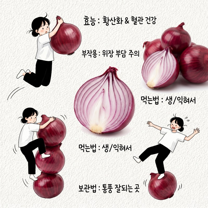 자색양파 효능 부작용 먹는법 보관법
