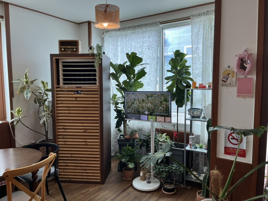 브루네 사진 5
