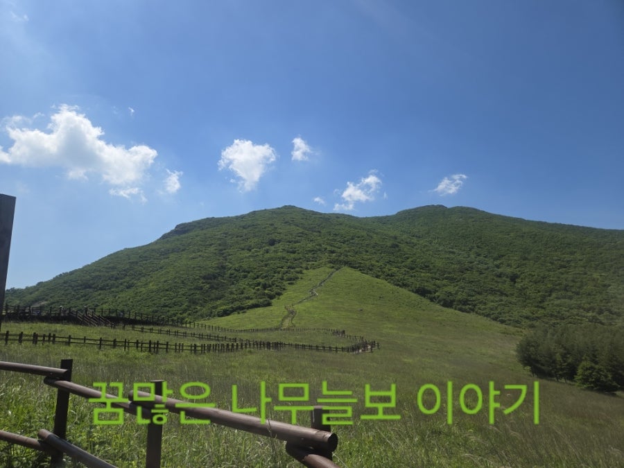 산다화 2호점 사진 5