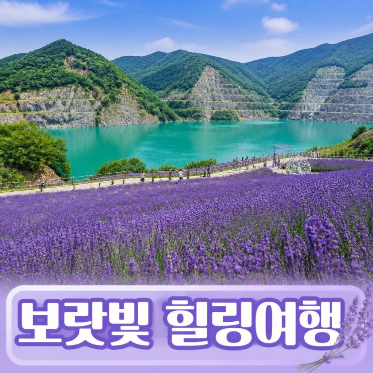  동해 무릉별 유천지 라벤더축제 티켓 | 6월 가볼만한곳 국내