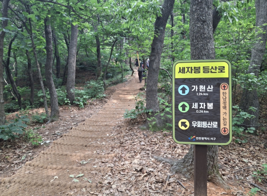 학운산 사진 4