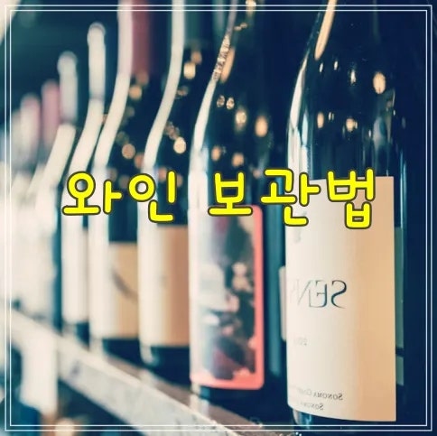 와인 보관법 10분 정리, 냉장고에 넣어도 될까?