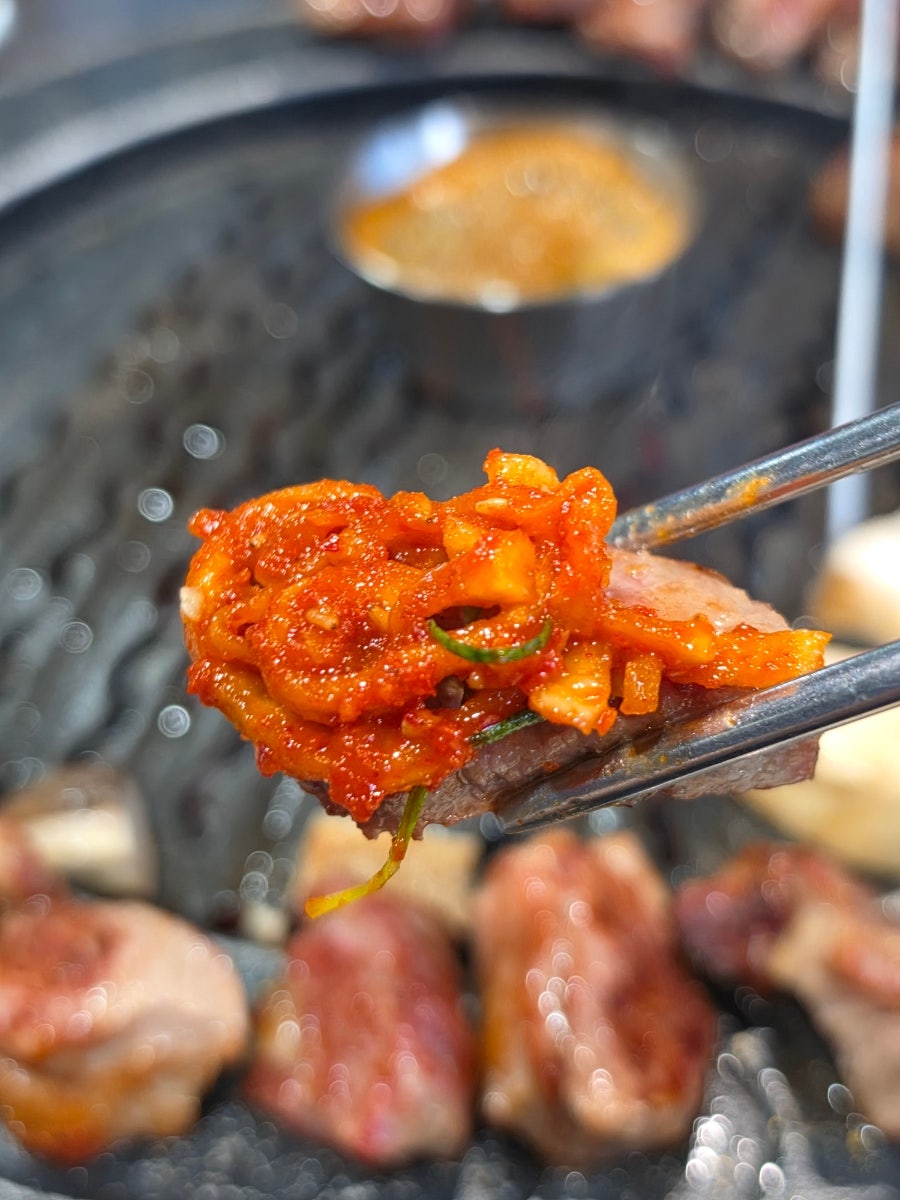 육닷 사진 1