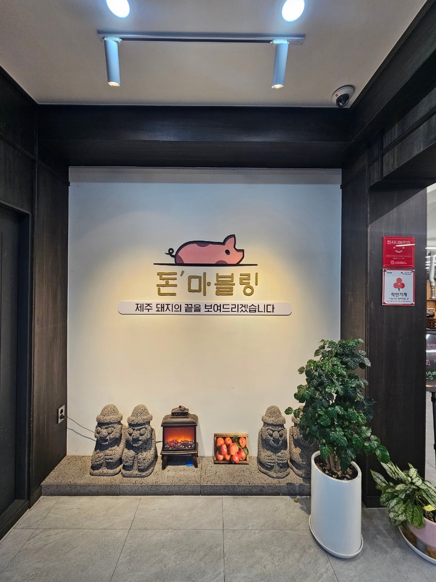 돈마블링 사진 2