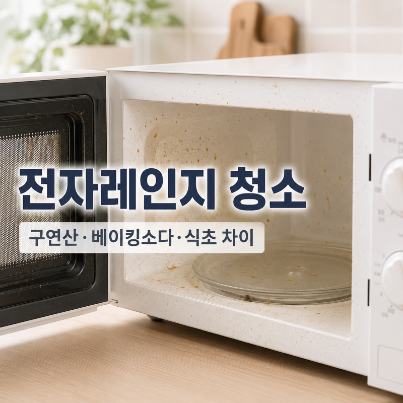 전자레인지 청소 구연산·베이킹소다·식초 차이, 냄새와 얼룩 줄이는 방법