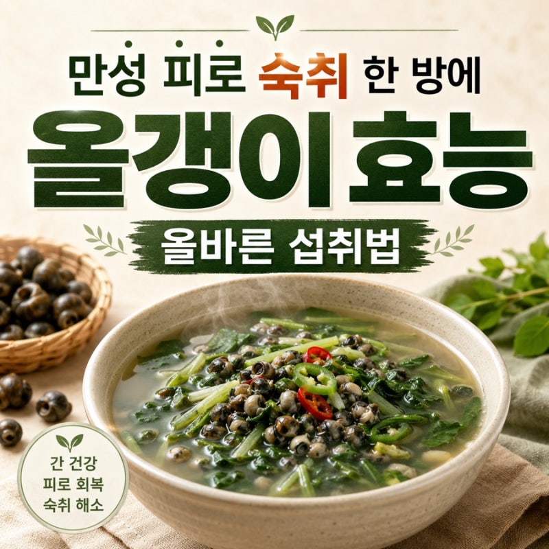만성 피로와 숙취 한 방에 잡는 올갱이 효능 제대로 보는 올바른 섭취법
