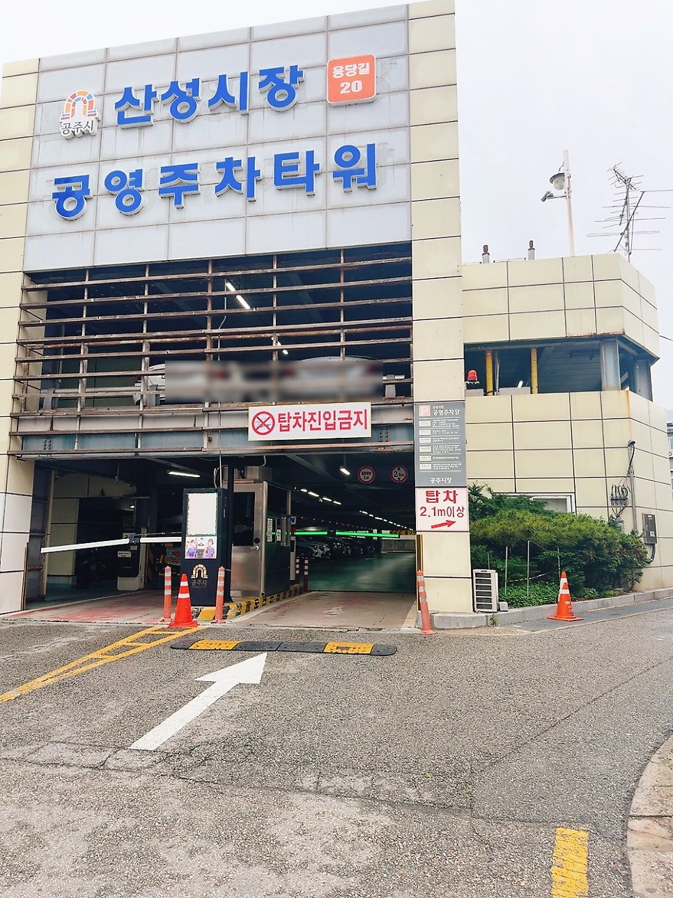 대성집 사진 3