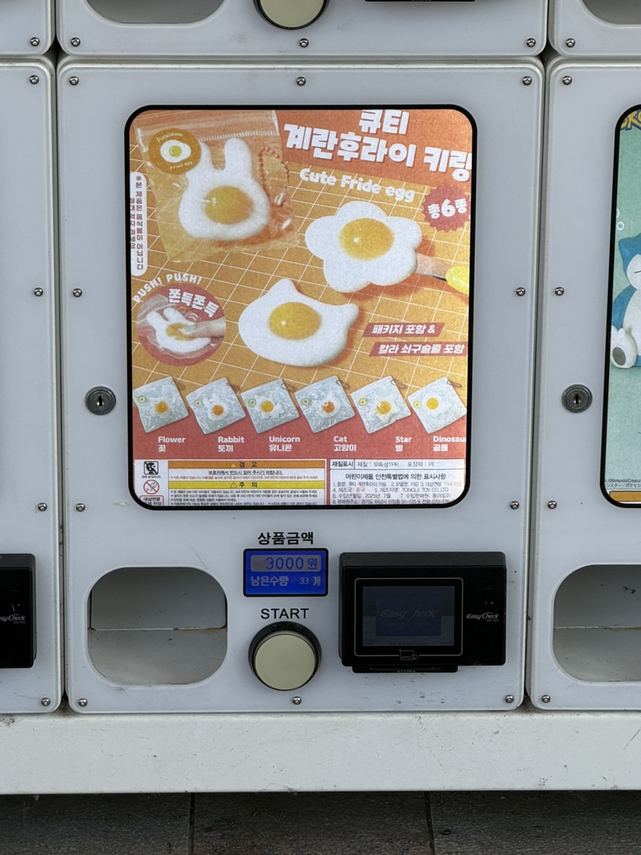 고향의봄 사진 2