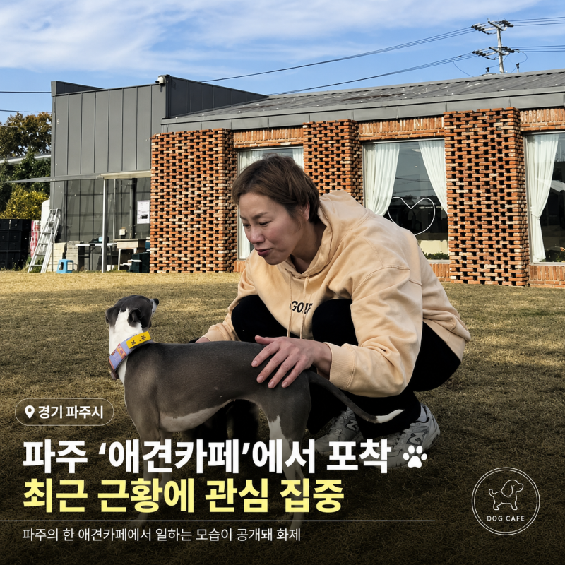 입짧은햇님 근황, 주사이모 논란 뒤 파주 애견(개)카페 사장 포착…방송 복귀보다 뜻밖의 새 ....