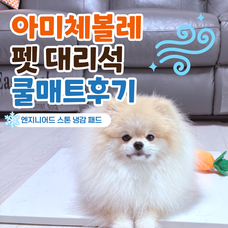  강아지쿨매트 추천! 아미체볼레 펫 대리석 쿨매트 후기 (엔지니어드 스톤 냉감 패드)
