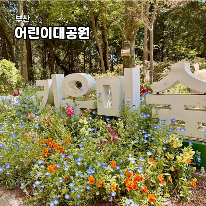 부산 5월 가볼만한곳 어린이대공원 숲길에서 전망대까지 코스 정리