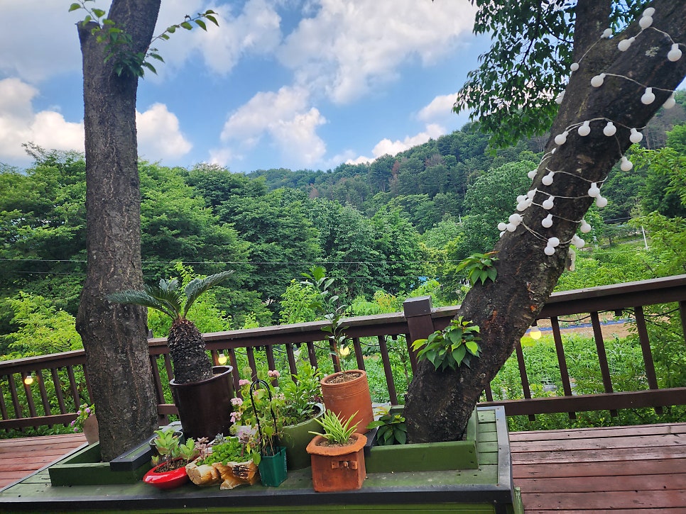 산이좋은사람들 사진 5