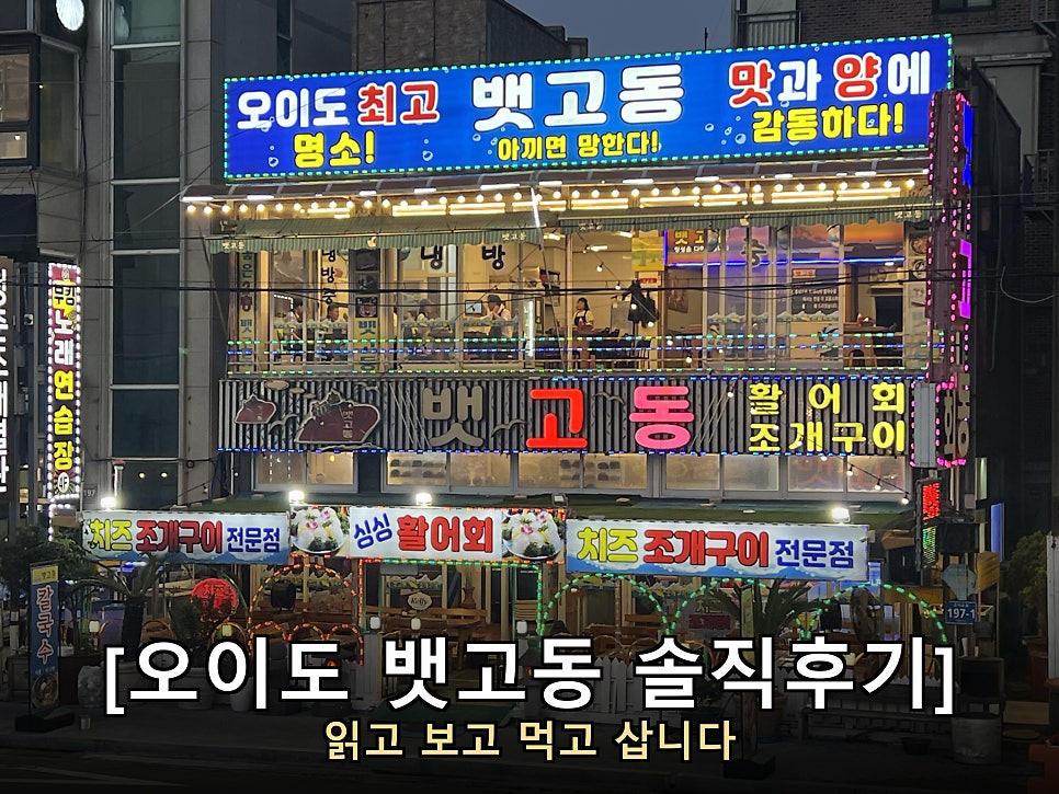 뱃고동 사진 1