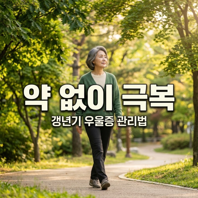 갱년기 우울증 약 없이 관리하는 법 5가지와 자가진단 가이드