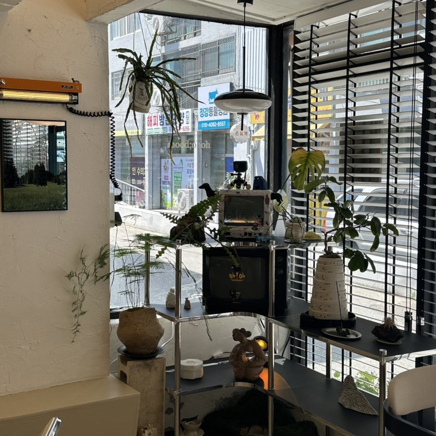 오오 사진 6
