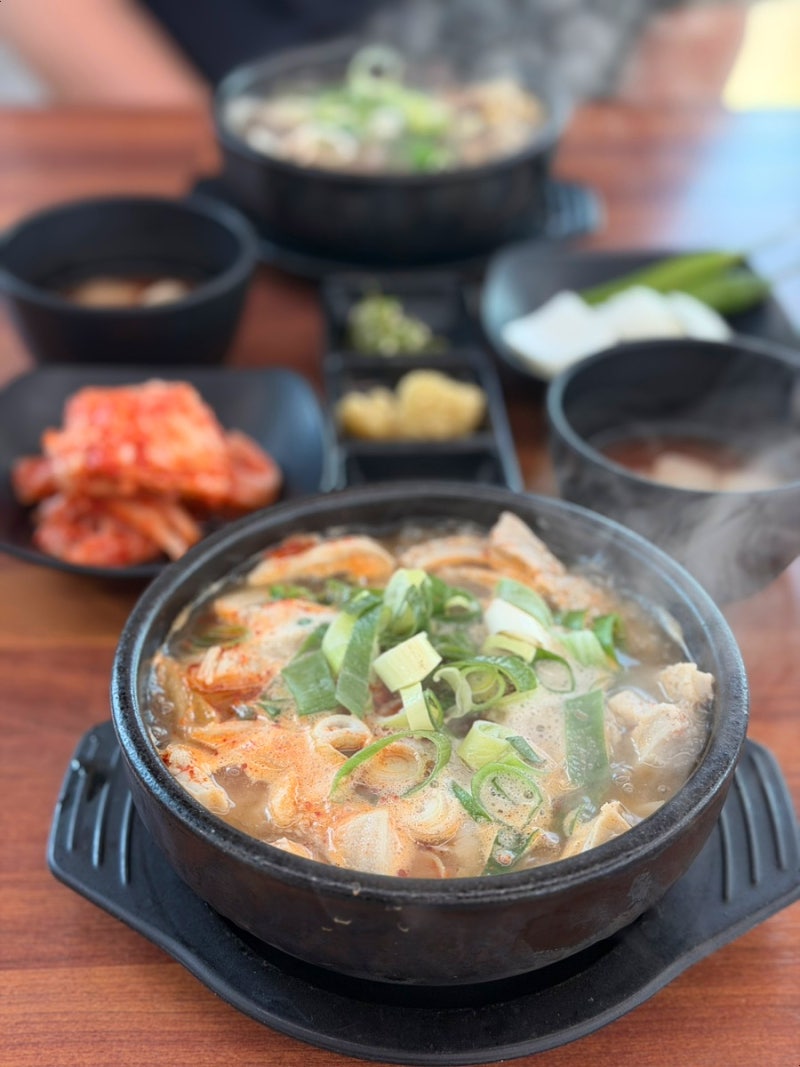 제주도 세화해수욕장맛집 산지해장국 아침식사