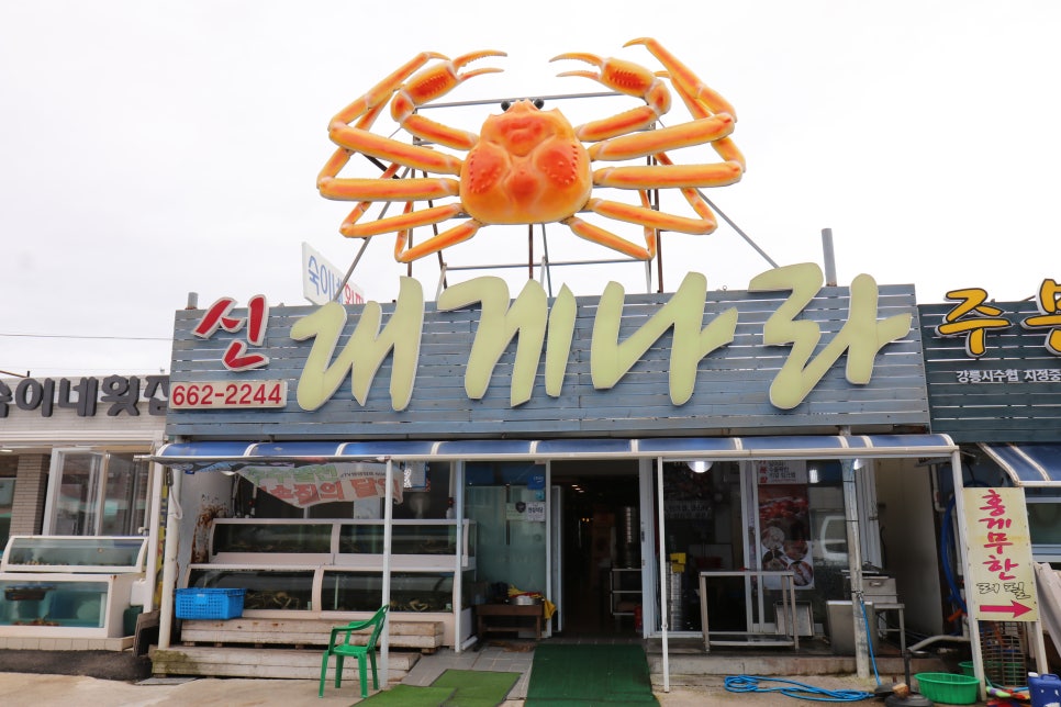 신대게나라 사진 6