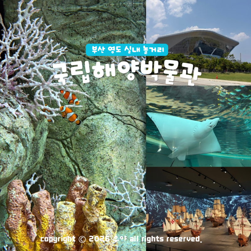 부산 영도 국립해양박물관 입장료 어린이박물관 예약 주차방법은?