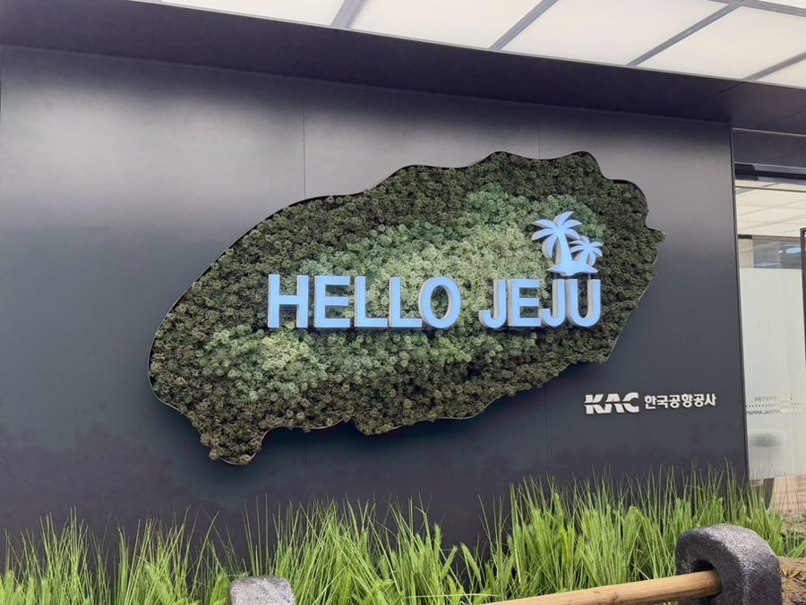 허그데이 사진 1