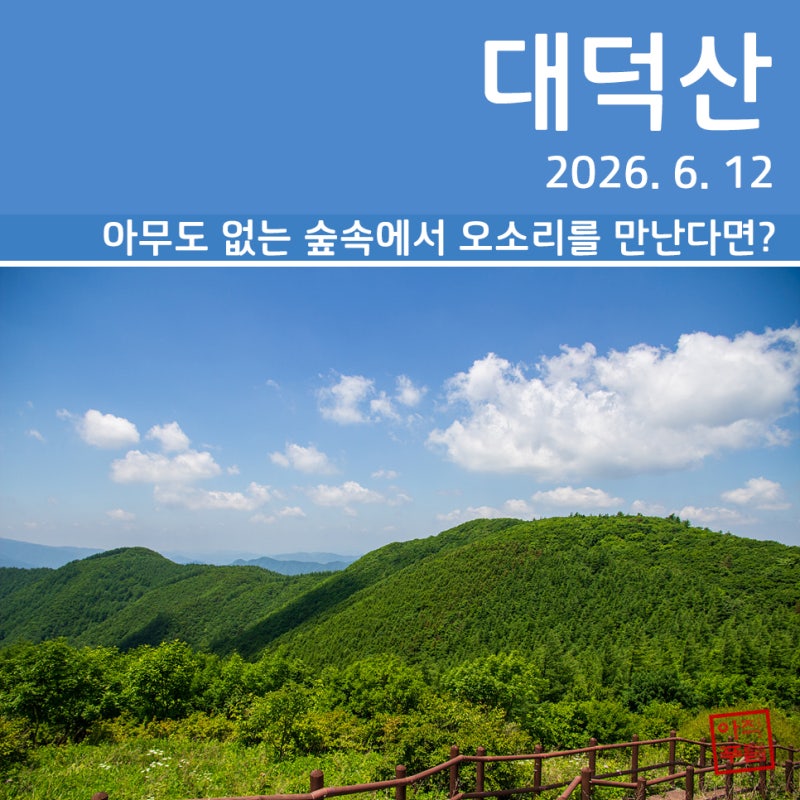 [등산] 태백산 국립공원 대덕산~금대봉 (2026. 6. 12)