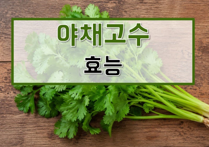 야채고수 효능, 영양성분, 부작용