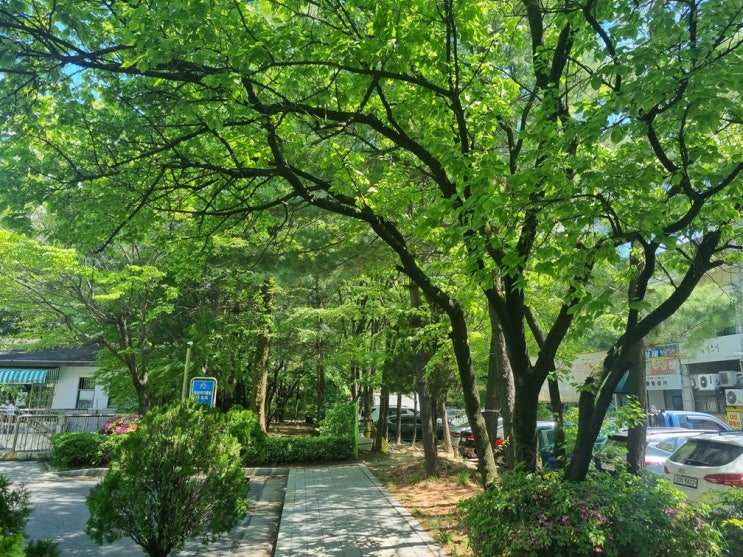  일산작명소 개명 후기 - 서른 넘고 나서야 알게 된, 내 이름이 불편했던 이유