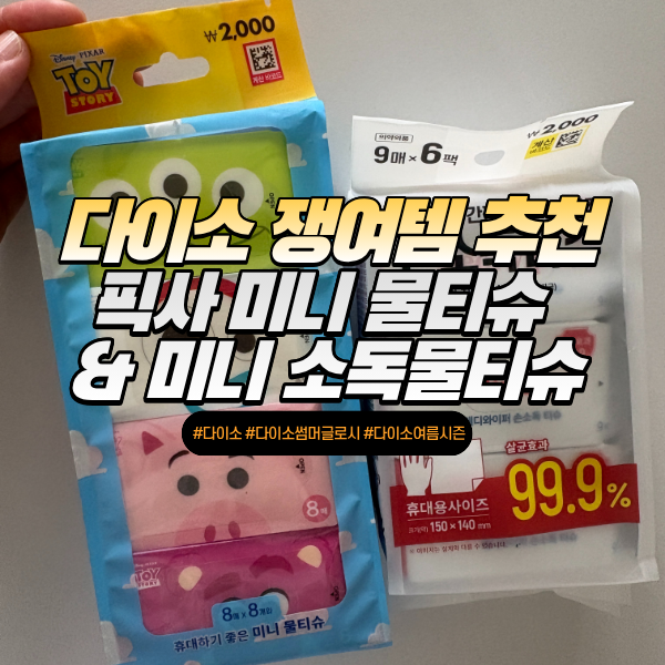 다이소 간다면 이건 꼭 겟해야 할 잇템! 다이소 픽사 미니 물티슈 & 미니 소독물티슈