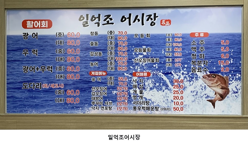 일억조어시장 사진 2
