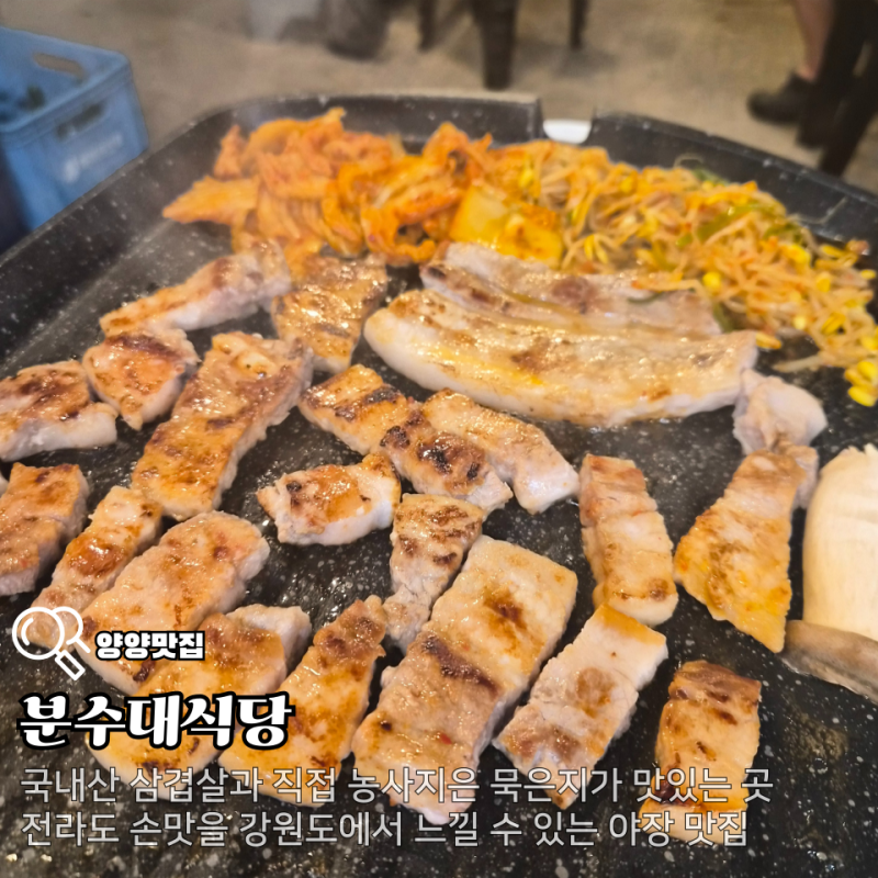 야장을 즐길 수 있는 양양 삼겹살 맛집 분수대식당