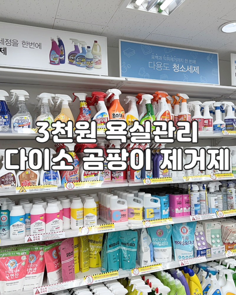 다이소 곰팡이 제거제 후기, 작은 욕실 실리콘 곰팡이, 3천원으로 관리했어요