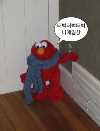 우시마츠 사진 1