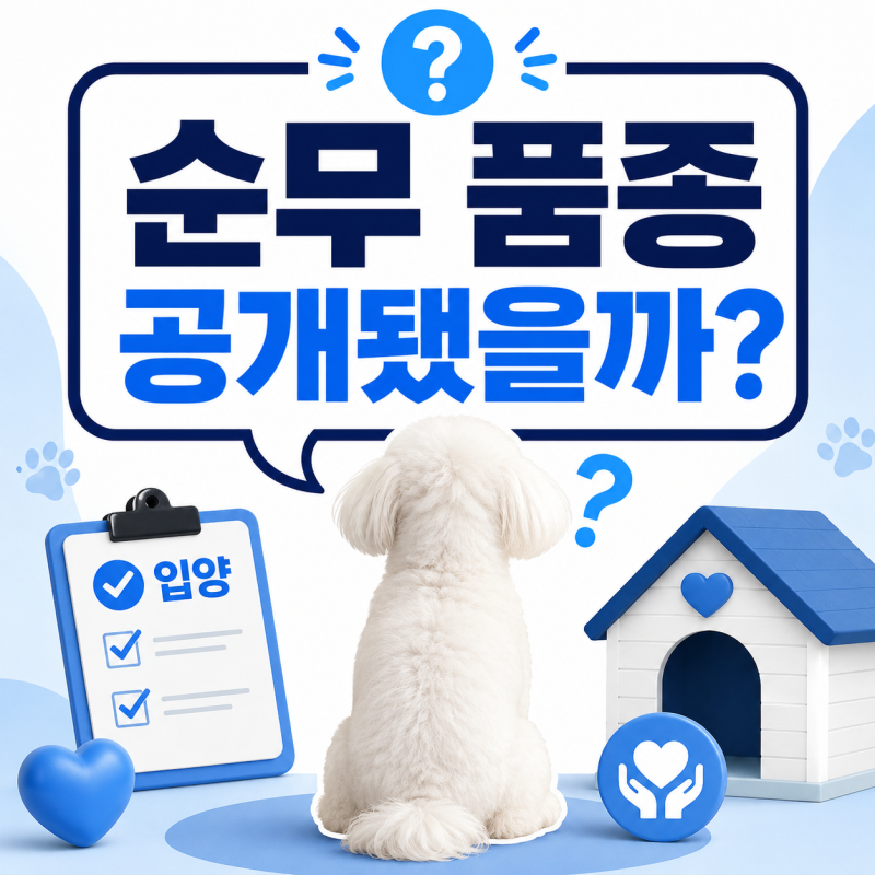 전현무 강아지 종, 순무는 어떤 강아지일까? 입양 배경까지 정리