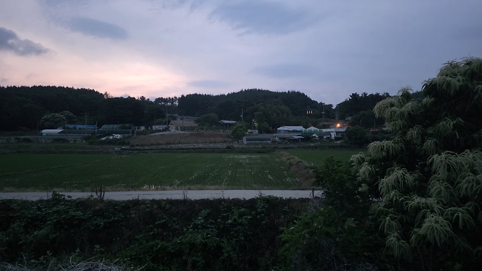 어은 사진 2