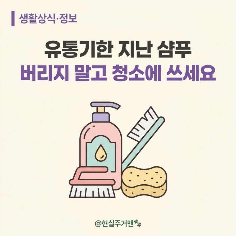 유통기한 지난 샴푸 버리지 마세요ㅣ청소부터 활용법까지 알뜰하게 쓰는 법