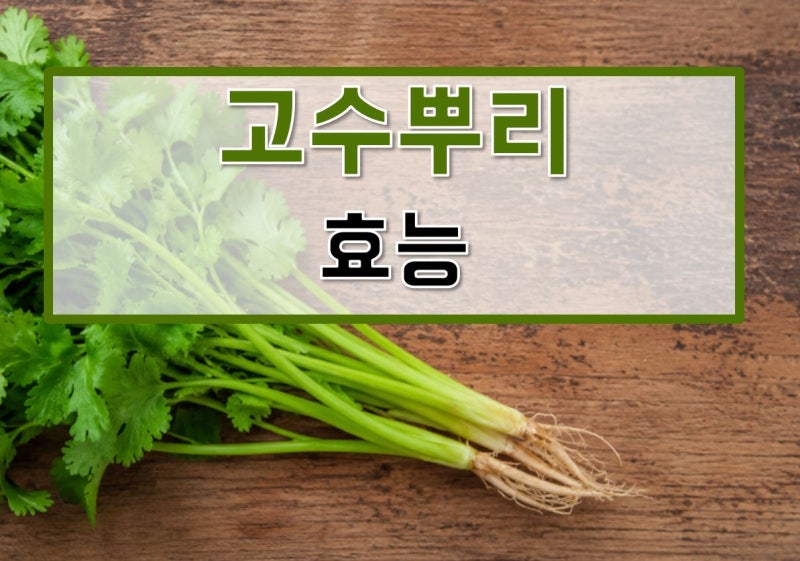 고수뿌리 효능, 심기, 요리, 키우기