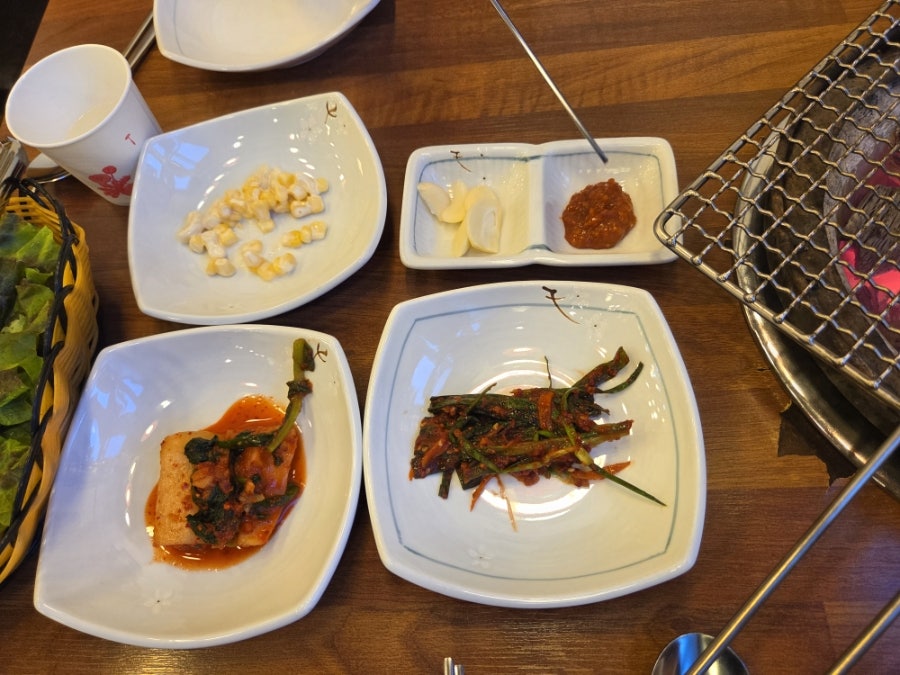 금오갈매기 사진 4