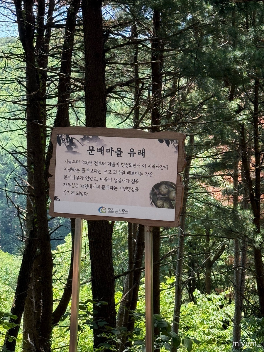 구곡촌두부 사진 4