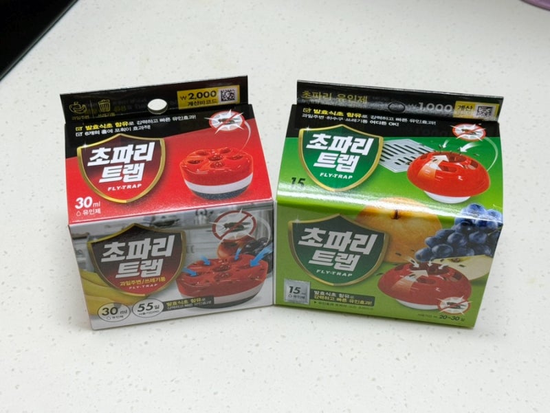 다이소 초파리 트랩 종류 비교 가격 사용 위치 방법 총정리