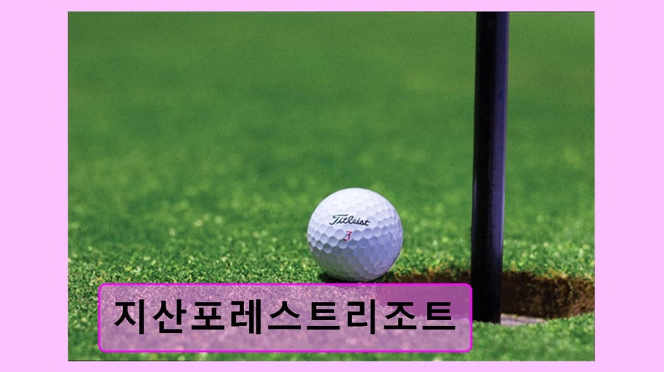 지산포레스트리조트 사진 3