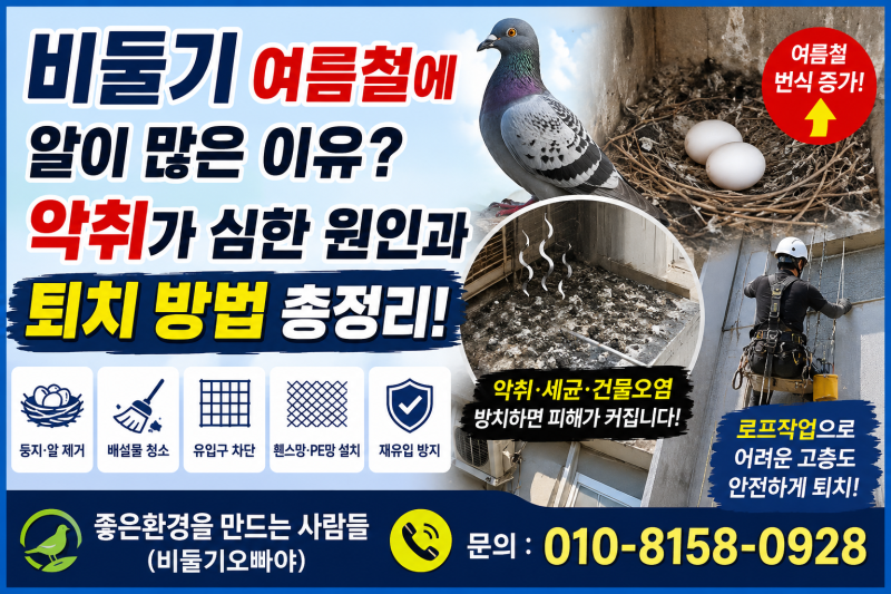 비둘기 여름철에 알이 많은 이유? 악취가 심한 원인과 퇴치 방법 총정리