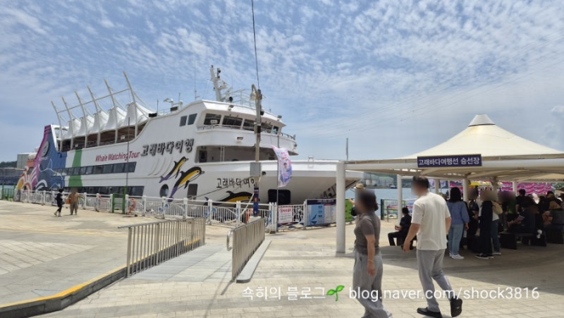 울산여행코스 장생포 고래바다여행선 고래문화마을