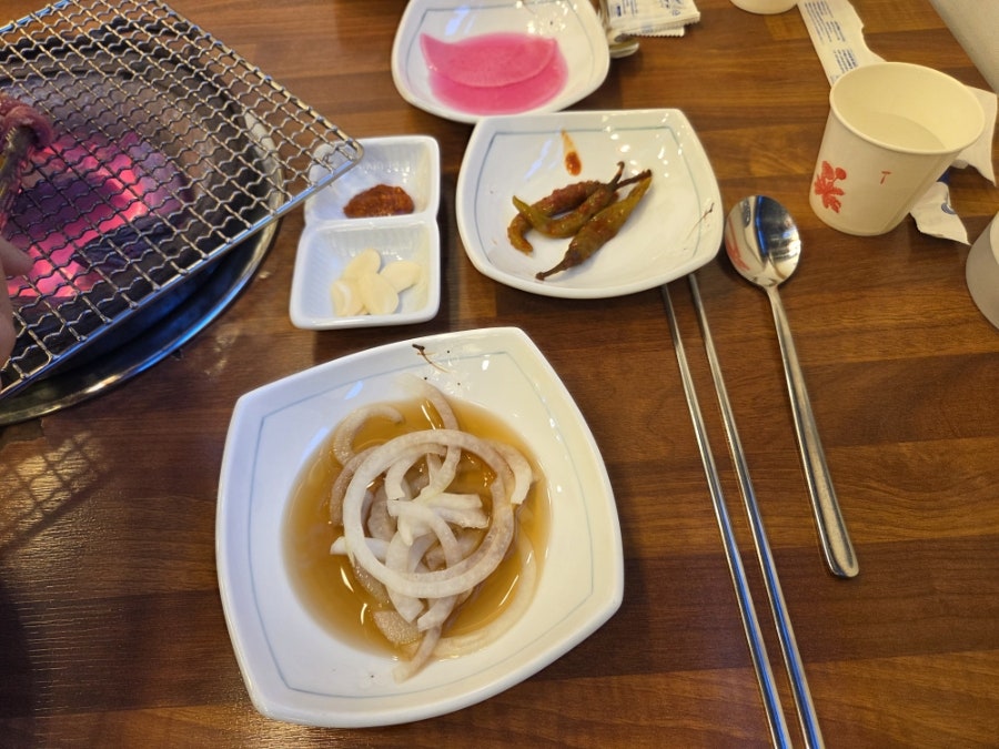 금오갈매기 사진 5