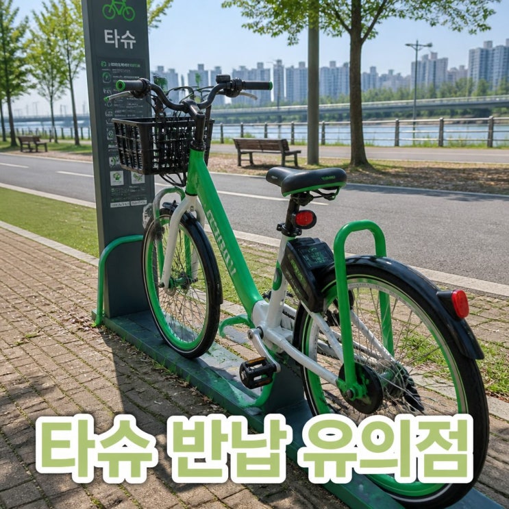  타슈 15분 타고 반납했는데 대여시간이 300분이 넘었다고? 타슈 반납 유의점