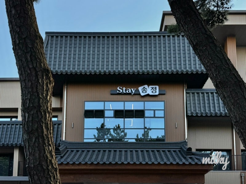 강릉 Stay송정 :: 예약방법 및 객실정보, 바비큐장 이용방법