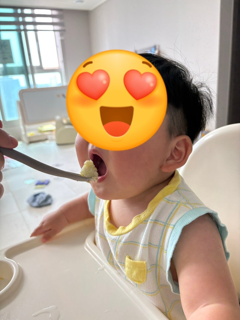 9개월 아기 밥볼 레시피(밥태기 극복 추천)