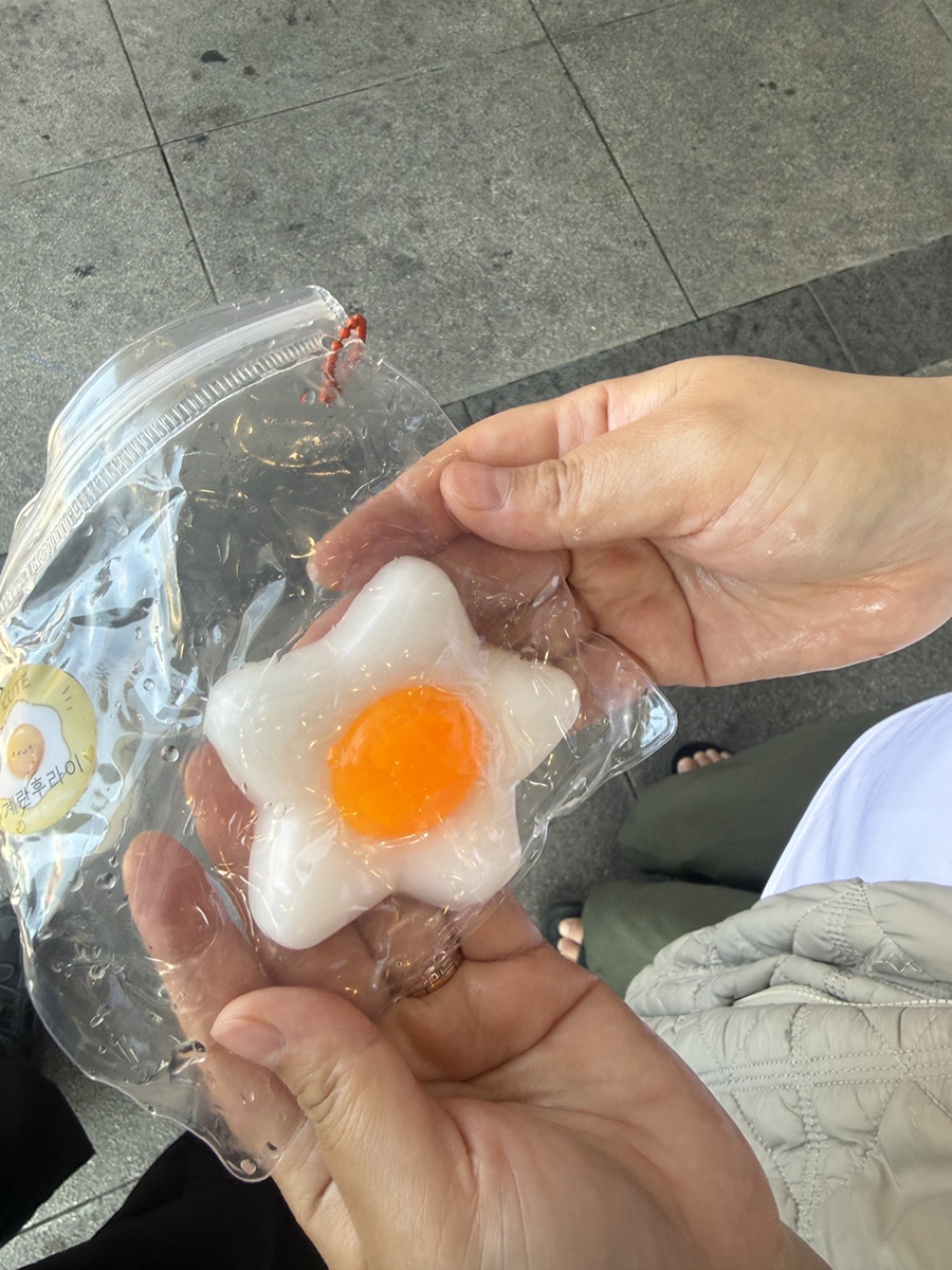 고향의봄 사진 5