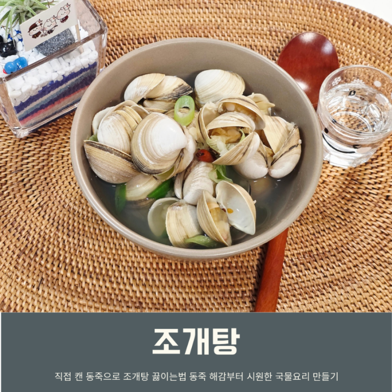 동죽 조개탕 끓이는법 시원한 국물요리 술안주 동죽 해감방법