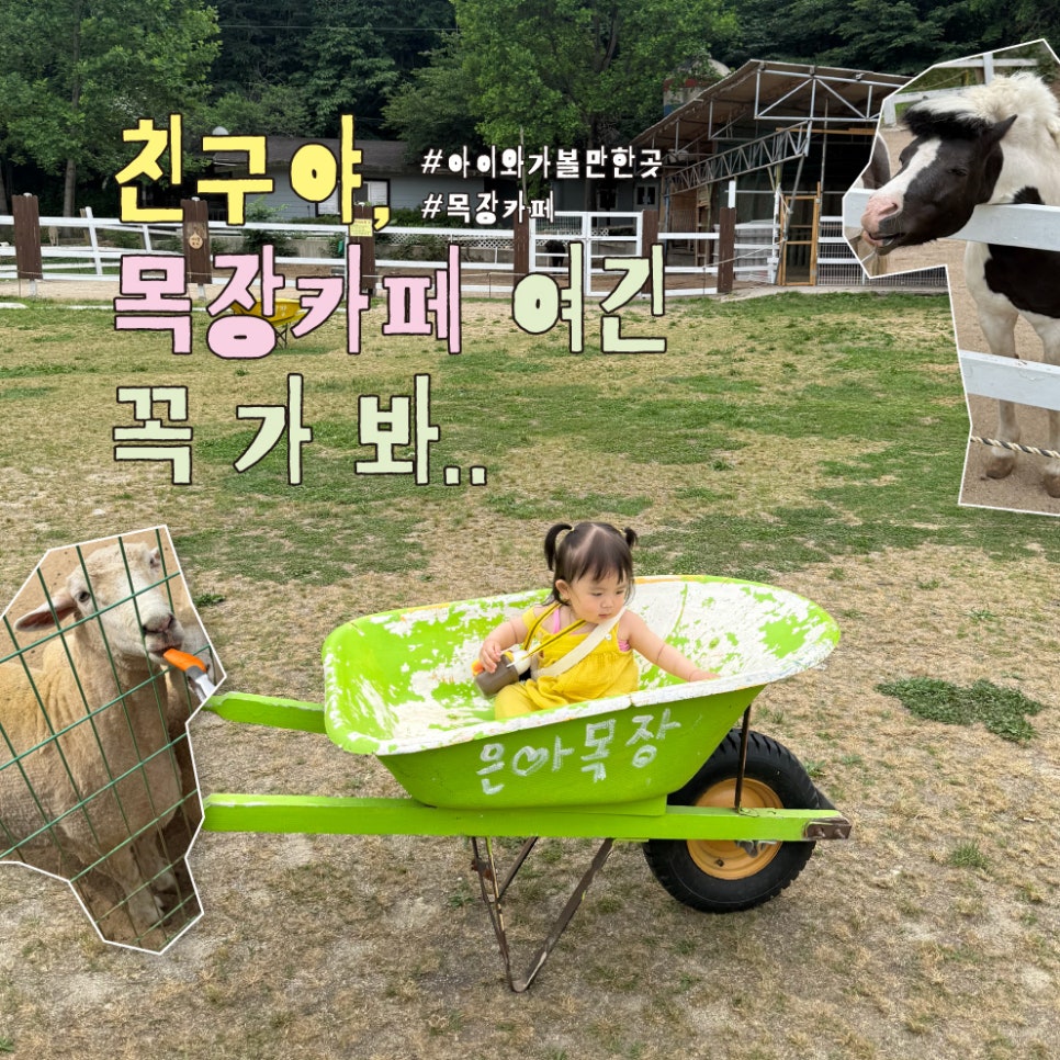목장카페 은아 사진 2