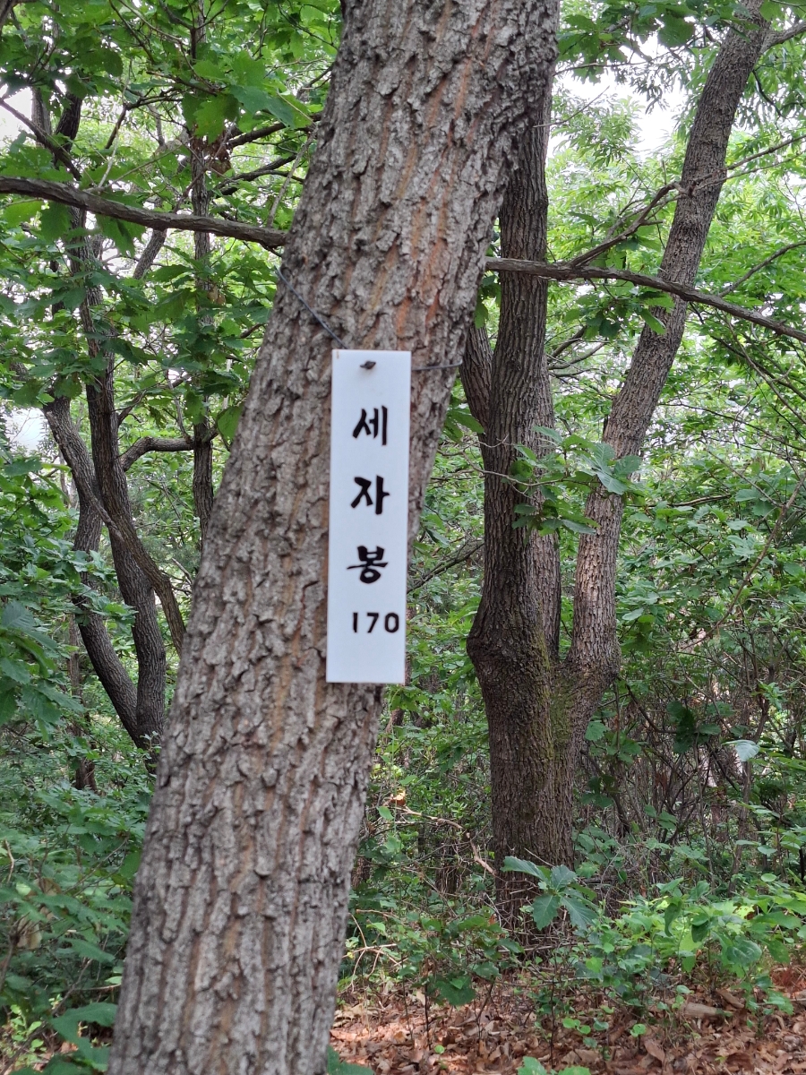 학운산 사진 5